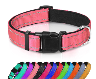 Adjustable Reflective Nylon Webbing Dog Collar