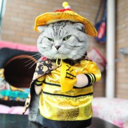 Party Clothes Funny Pet Costumes Halloween Costume Suit (Color: Emperor, size: M)